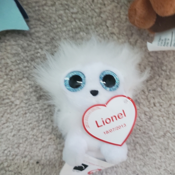 Beanie Baby Collection - Picture 10 of 11